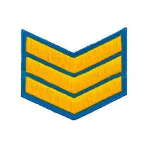 Курсовка пластизоль 3 курс (голубая)