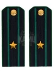 Погоны Пограничной службы ПС ФСБ в сборе картон на китель звание Майор 14х5,5см