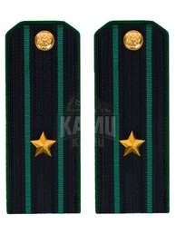Погоны Пограничной службы ПС ФСБ в сборе картон на китель звание Майор 14х5,5см