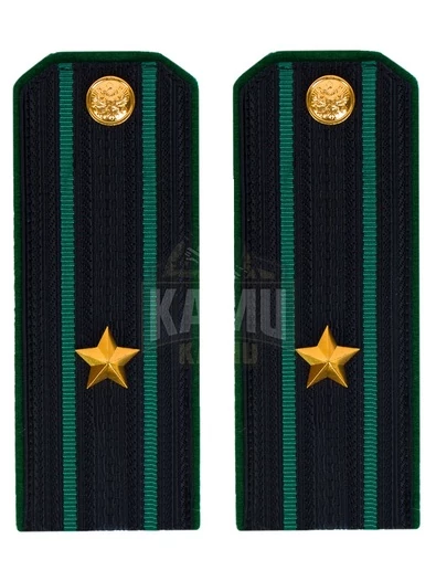 Погоны Пограничной службы ПС ФСБ в сборе картон на китель звание Майор 14х5,5см