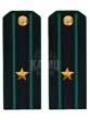 Погоны Пограничной службы ПС ФСБ в сборе картон на китель звание Майор 14х5,5см