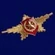 Знак Роты Почетного Караула (Общевойсковой) №2090