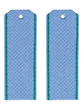 Погоны ПС ФСБ голубые картон звание Прапорщик