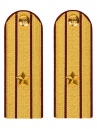 Погоны ФСИН парадные Майор картон цвет золотой