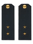 Погоны ВМФ Мичман картон цвет черный