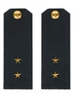 Погоны ВМФ Мичман картон цвет черный