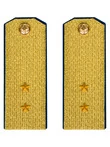 Погоны парадные ФСБ золотые картон звание Прапорщик