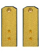 Погоны парадные ФСБ золотые картон звание Прапорщик