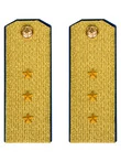 Погоны парадные ФСБ золотые картон Старший Прапорщик