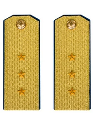 Погоны парадные ФСБ золотые картон Старший Прапорщик