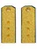 Погоны парадные ФСБ золотые картон Старший Прапорщик