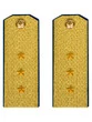Погоны парадные ФСБ золотые картон Старший Прапорщик