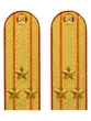 Погоны МЧС Полковник Картон цвет золотой