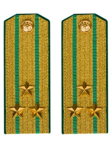 Погоны Пограничной службы в сборе картон Полковник золотые