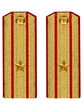 Погоны Общевойсковые парадные Майор картон цвет золотой
