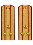 Погоны Общевойсковые парадные Полковник картон цвет золотой