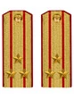 Погоны Общевойсковые парадные Полковник картон цвет золотой