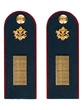 Погоны ФСИН звание Старшина картон цвет-темно-синий 14х5 см