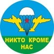 Наклейка на авто ВДВ Никто кроме нас белый купол D-10 №П66