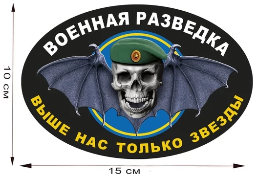Автомобильная наклейка с символикой Военной разведки (15x10 см) №629 зеленый берет