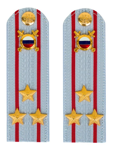 Погоны МВД внутренняя служба на рубашку голубые картон звание Полковник