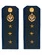 Погоны ФСБ на куртку синие картон звание Старший Прапорщик 14х5,5см