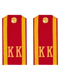 Погоны кадетские КК, галунные (10 см) с фурнитурой цвет красный