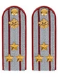 Погоны ФСИН на рубашку пластик, звание Полковник цвет серый 14х5 см