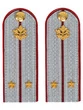 Погоны ФСИН на рубашку ПЛАСТИК, звание Лейтенант цвет серый 14х5,5см