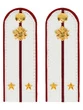 Погоны ФСИН на рубашку ПЛАСТИК, звание Лейтенант Цвет Белый14х5,5см