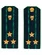 Погоны Прокуратуры темно-синие КАРТОН Звание Полковник