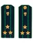Погоны Прокуратуры темно-синие КАРТОН Звание Полковник