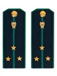Погоны Прокуратуры темно-синие КАРТОН Звание Старший Лейтенант