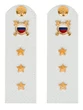 Погоны МВД внутренняя служба на рубашку белые КАРТОН Звание Старший Прапорщик