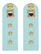 Погоны МВД внутренняя служба на рубашку голубые КАРТОН Звание Старший Прапорщик