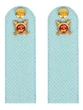 Погоны Полиции на рубашку голубые КАРТОН Звание Рядовой