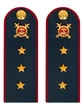 Погоны Полиции темно-синие КАРТОН Звание Старший Прапорщик