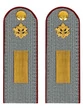 Погоны ФСИН серые на рубашку картон (в сборе) звание Старшина