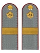 Погоны ФСИН серые на рубашку картон (в сборе) звание Старший Сержант