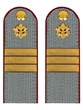 Погоны ФСИН серые на рубашку картон (в сборе) звание Сержант