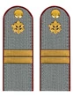 Погоны ФСИН серые на рубашку картон (в сборе) звание Младший сержант