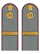 Погоны ФСИН серые на рубашку картон (в сборе) звание Ефрейтор