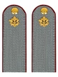 Погоны ФСИН серые на рубашку картон (в сборе) звание Рядовой