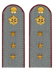 Погоны ФСИН серые на рубашку картон (в сборе) звание Старший Прапорщик