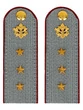 Погоны ФСИН серые на рубашку картон (в сборе) звание Старший Прапорщик