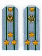 Погоны Пограничной службы ПС ФСБ в сборе картон на рубашку звание Полковник 14х5см