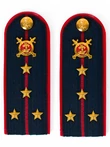 Погоны Полиции (в сборе) ПЛАСТИК укомплектованные с фурнитурой темно-синие (Капитан) 14х5см