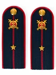 Погоны Полиции ПЛАСТИК (в сборе) укомплектованные с фурнитурой темно-синие (Младший лейтенант) 14х5см