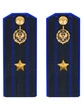 Погоны ФСБ на куртку цвет синий ПЛАСТИК, звание Майор 14х5,5см