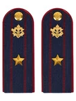 Погоны ФСИН на куртку ПЛАСТИК, звание Майор 14х5,5см